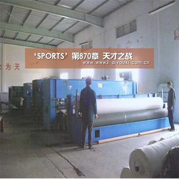‘SPORTS’第870章 天才之战(图1) 爱游戏