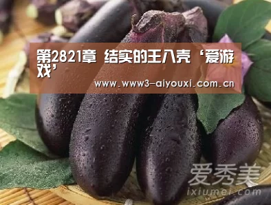 第2821章 结实的王八壳‘爱游戏’(图4) 爱游戏