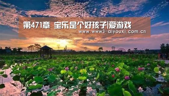 第471章 宝乐是个好孩子|爱游戏(图1) 爱游戏