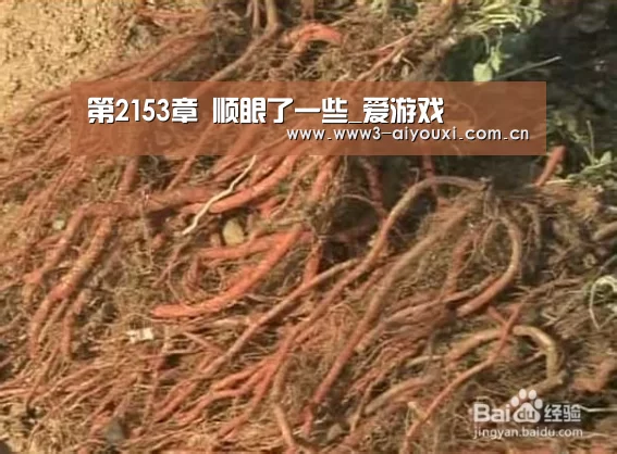 第2153章 顺眼了一些_爱游戏(图2) 爱游戏