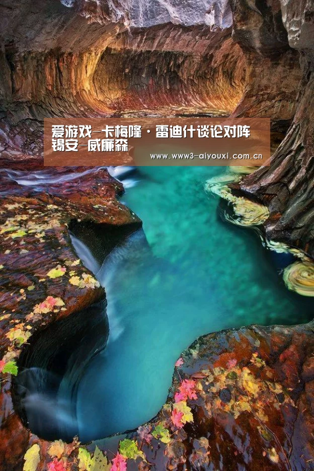 爱游戏-卡梅隆·雷迪什谈论对阵锡安-威廉森(图2) 爱游戏棋牌