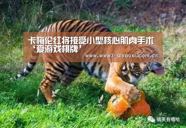 卡梅伦红将接受小型核心肌肉手术‘爱游戏棋牌’(图3) 卡梅伦红将接受小型核心肌肉手术‘爱游戏棋牌’(图3)